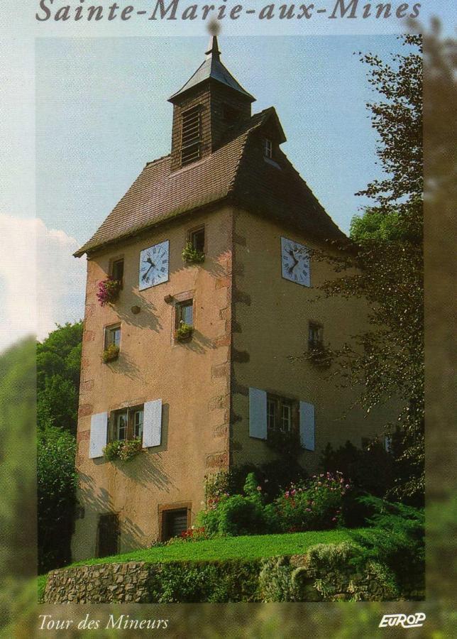 Les Lilas Sainte-Marie-aux-Mines Zewnętrze zdjęcie