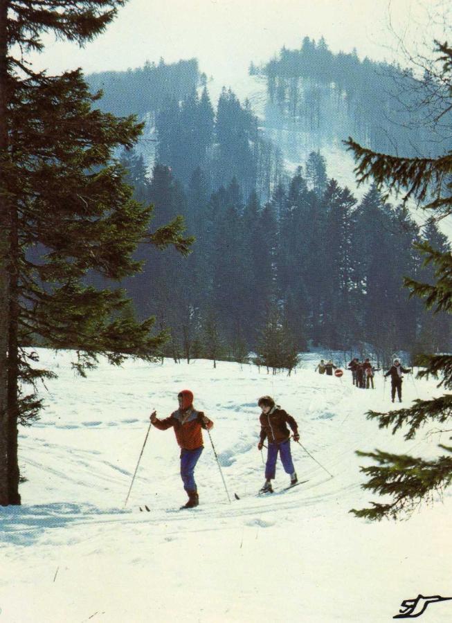 Les Lilas Sainte-Marie-aux-Mines Zewnętrze zdjęcie