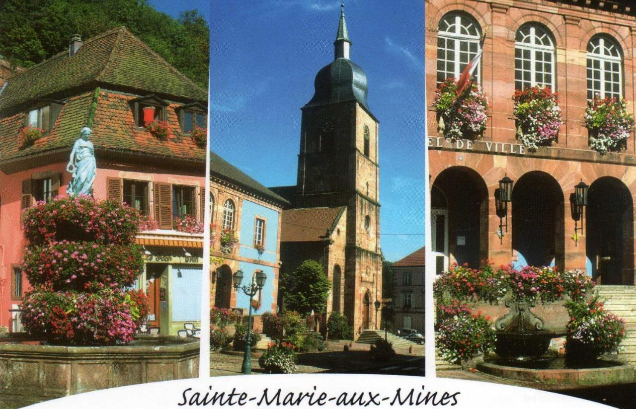 Les Lilas Sainte-Marie-aux-Mines Zewnętrze zdjęcie
